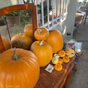 Meet your Posher, Donna